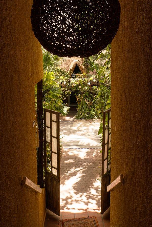 Hotel Casa Colibri Playa del Carmen Eksteriør bilde