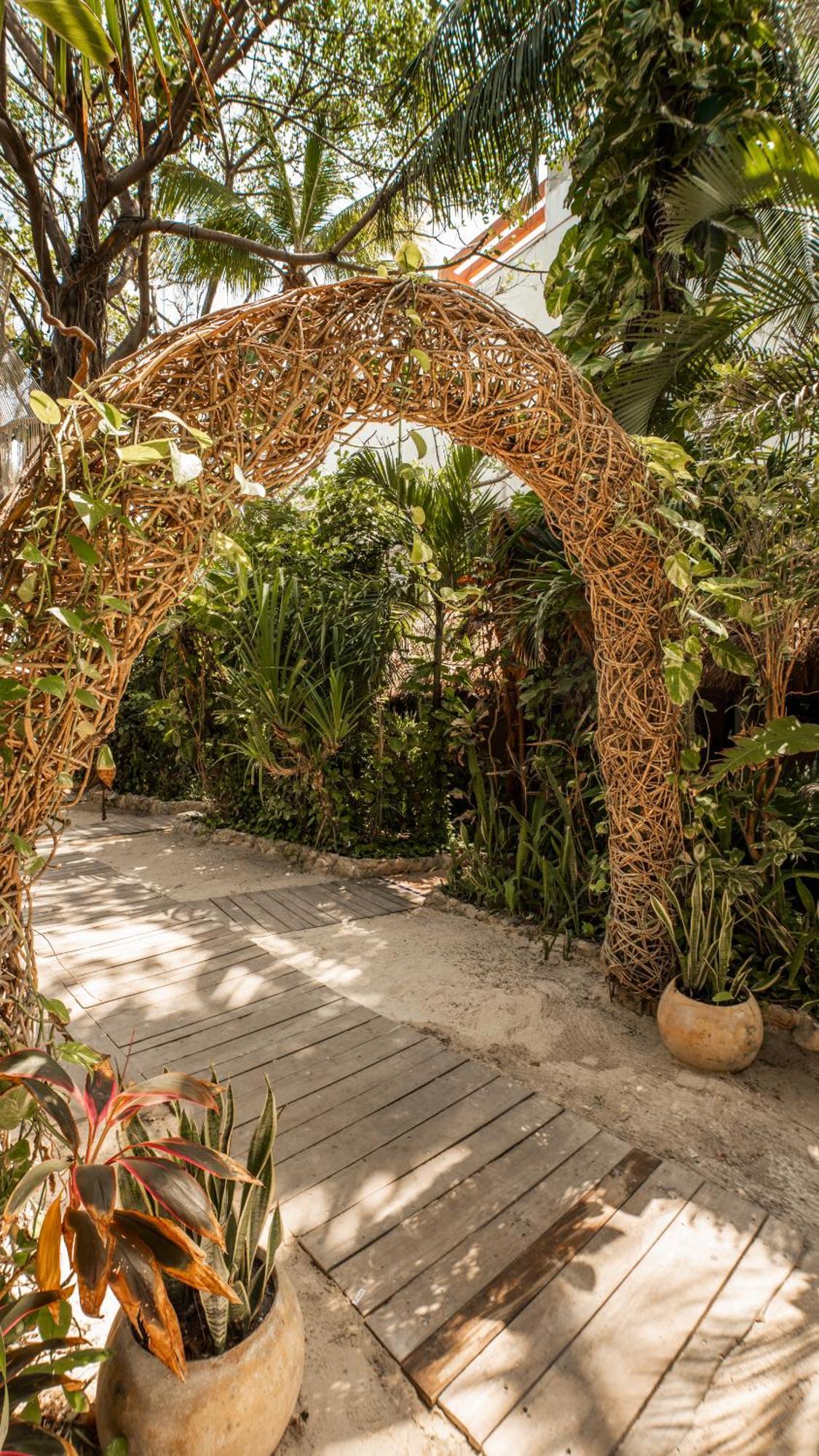 Hotel Casa Colibri Playa del Carmen Eksteriør bilde