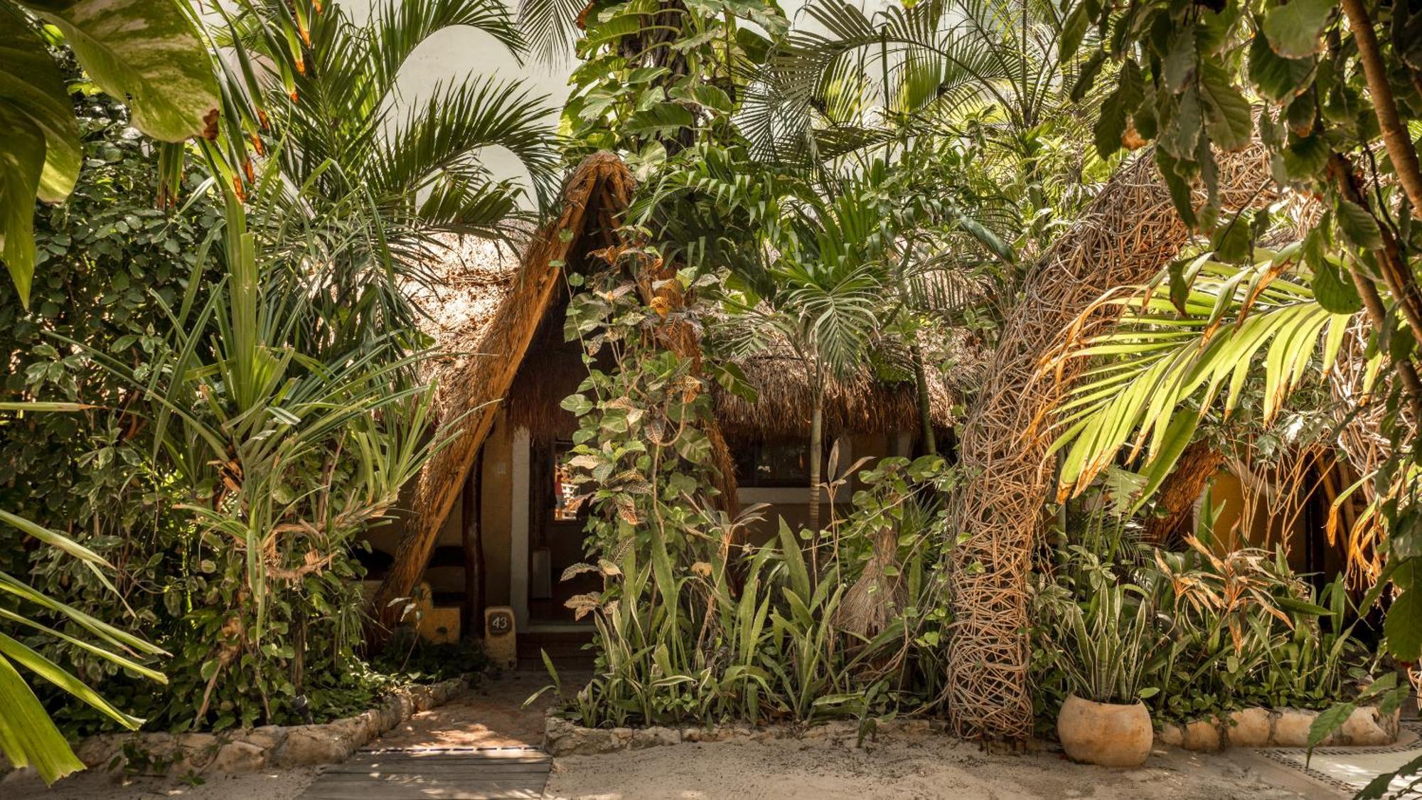 Hotel Casa Colibri Playa del Carmen Eksteriør bilde